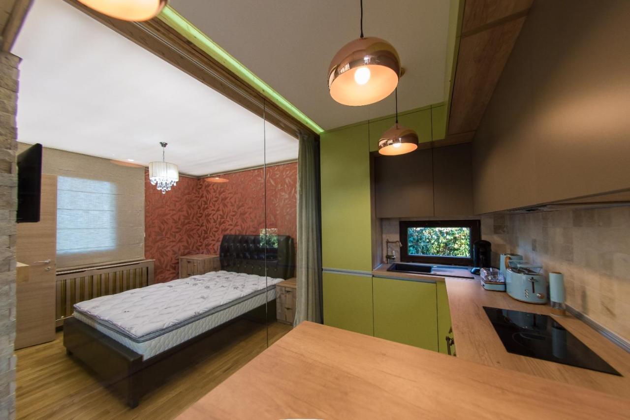 Kopel Haus - Studio - Self Acces Cod Location บาโลเตชติ ภายนอก รูปภาพ