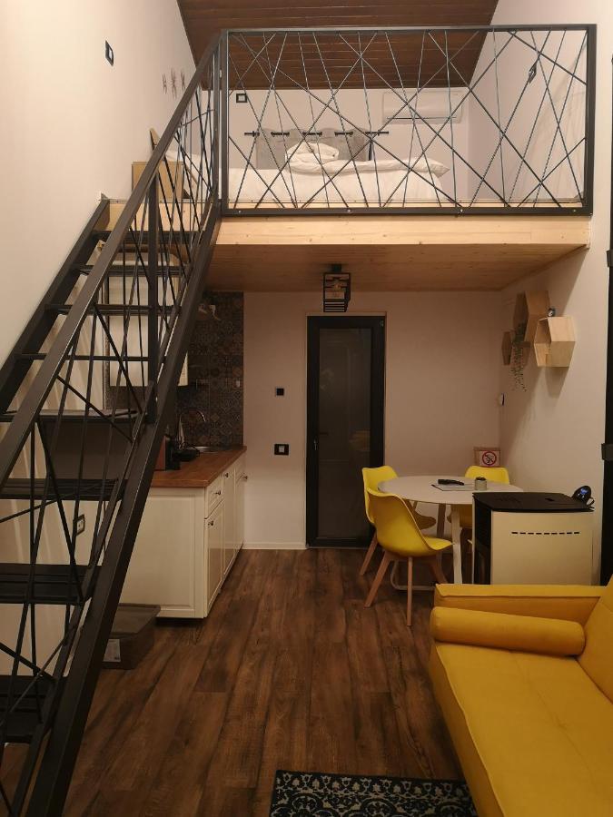 Kopel Haus - Studio - Self Acces Cod Location บาโลเตชติ ภายนอก รูปภาพ